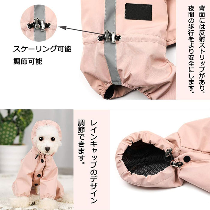サンプル画像3