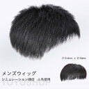 かつら メンズ ウィッグ 自然 エクステ セルフ増毛 人毛 部分ウィッグ 男性 薄毛対策 カツラ ショート
