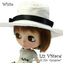 【ゆうパケット発送】Blythe ネオブライス ウィッグ ミディアムレイヤー ナチュラルブラウン B-18 リズビバーチェ LizVivace
