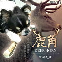 【 Sサイズ 約20cm(細いタイプ) 】【 小型犬~中型犬 】 鹿角 鹿の角 ペット 北海道産 犬のおもちゃ 誕生日プレゼントやしつけ・いたずら防止にエゾシカ...