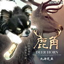 【 XSサイズ 約15cm(細いタイプ) 】【 小型犬 】 鹿角 鹿の角 ペット 北海道産 犬のおもちゃ 誕生日プレゼントやしつけ・いたずら防止にエゾシカ!犬の...