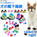 犬服 ドッグウェア ソックス【福袋/アソート】届いてからのお楽しみ♪ペット用5点セット犬の靴下福袋 犬 靴下 犬用靴下 ドッグソックス ソックス お楽しみの5点...