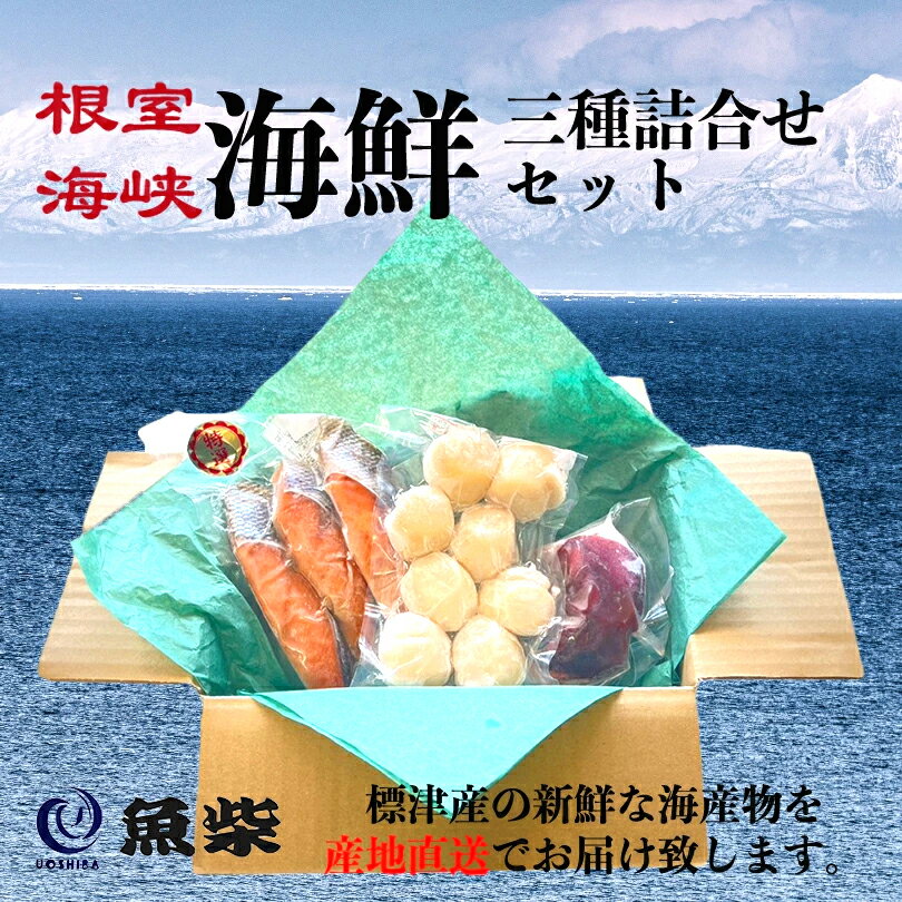 【北海道標津直送】北海道 魚柴 海産セットA 【ホタテ ボイ