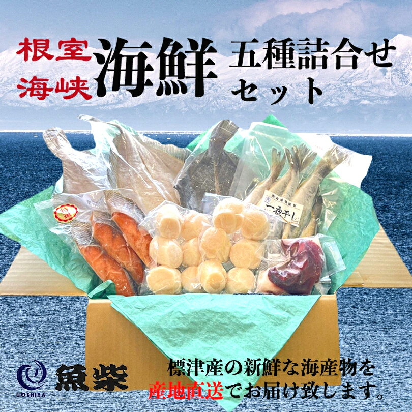 【北海道標津直送】北海道 魚柴 海産セットB 【ホタテ ボイ