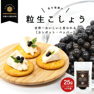 生胡椒 塩漬け 生こしょう 粒生 こしょう 【25g】 有機JAS認証取得 黒こしょう 黒コショウ 黒 胡椒 塩漬け お得 カンポットペッパー 人気 オーガニック 無添加 黒 胡椒 香辛料 調味料 料理 おすすめ スパイス 無農薬 有機農業