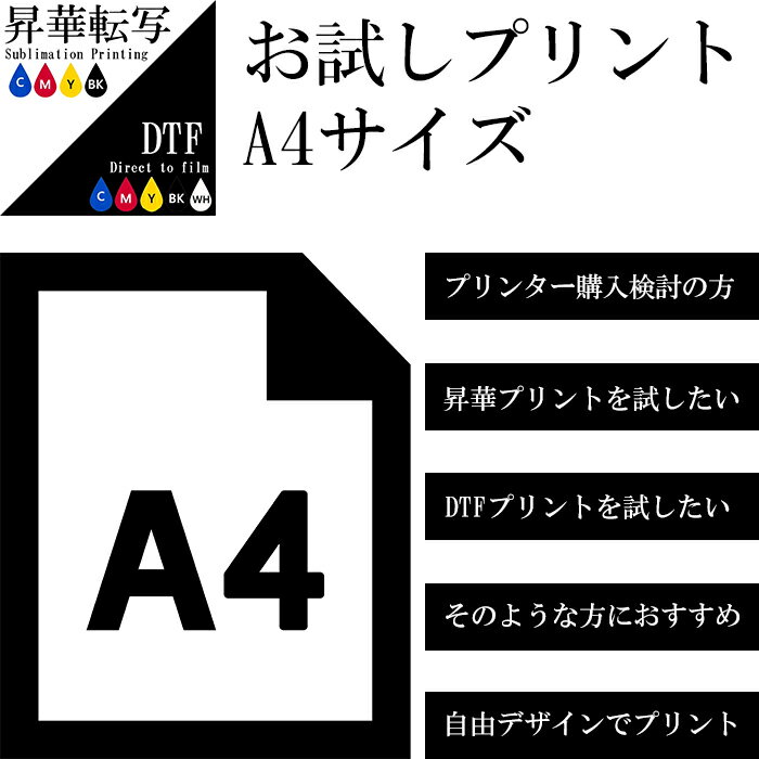 【ポイント5倍 5/16 1:59まで】 プリントシートお試し 代行 【選べる 昇華プリント DTFプリント 】 A4サイズ 転写シート 昇華プリンター アイロンプリントシート プリントシート オリジナルアイテム 企業ロゴ カスタム 昇華 TDF プリンター プリント