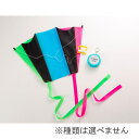 「8/1〜6限定先着で最大2000円OFFクーポン」ポケットカイト 1種【種類ランダム】