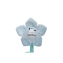 「5/1〜6限定先着で最大2000円OFFクーポン」サンリオキャラクターズ ファンキーフラワー ポチャッコ Style27 トイザらス限定 ぬいぐるみ