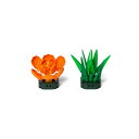 「8/1〜6限定先着で最大2000円OFFクーポン」プラントコレクション 多肉植物セット2 トイザらス限定