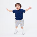 「5/1〜6限定先着で最大2000円OFFクーポン」POLO BCS 裏毛総柄ハーフパンツ クマ グレー80cm