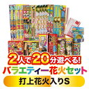 2人で20分遊べる バラエティー花火セット(打上花火入り)S【メーカー直送】トイザらス限定