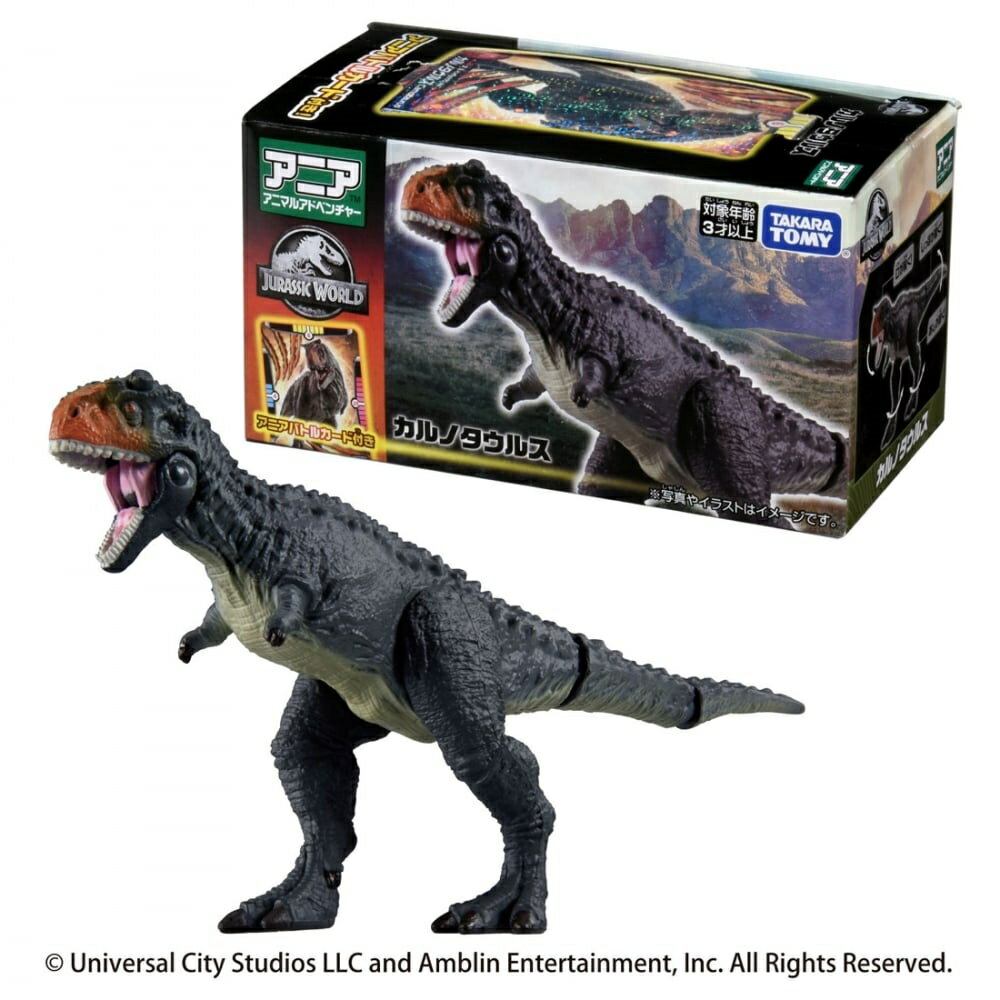 楽天市場】カルノタウルス ブルの通販