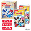 【1枚当たり28.0円】 グ〜ン ぐんぐん吸収パンツ ビッグ（12〜22kg） 100枚（50枚×2袋） 箱入り 【大王製紙 パンツタイプ】