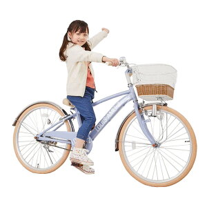 22インチ 身長120〜135cm 子供用自転車 アミューズ（ブルーグレー） 女の子