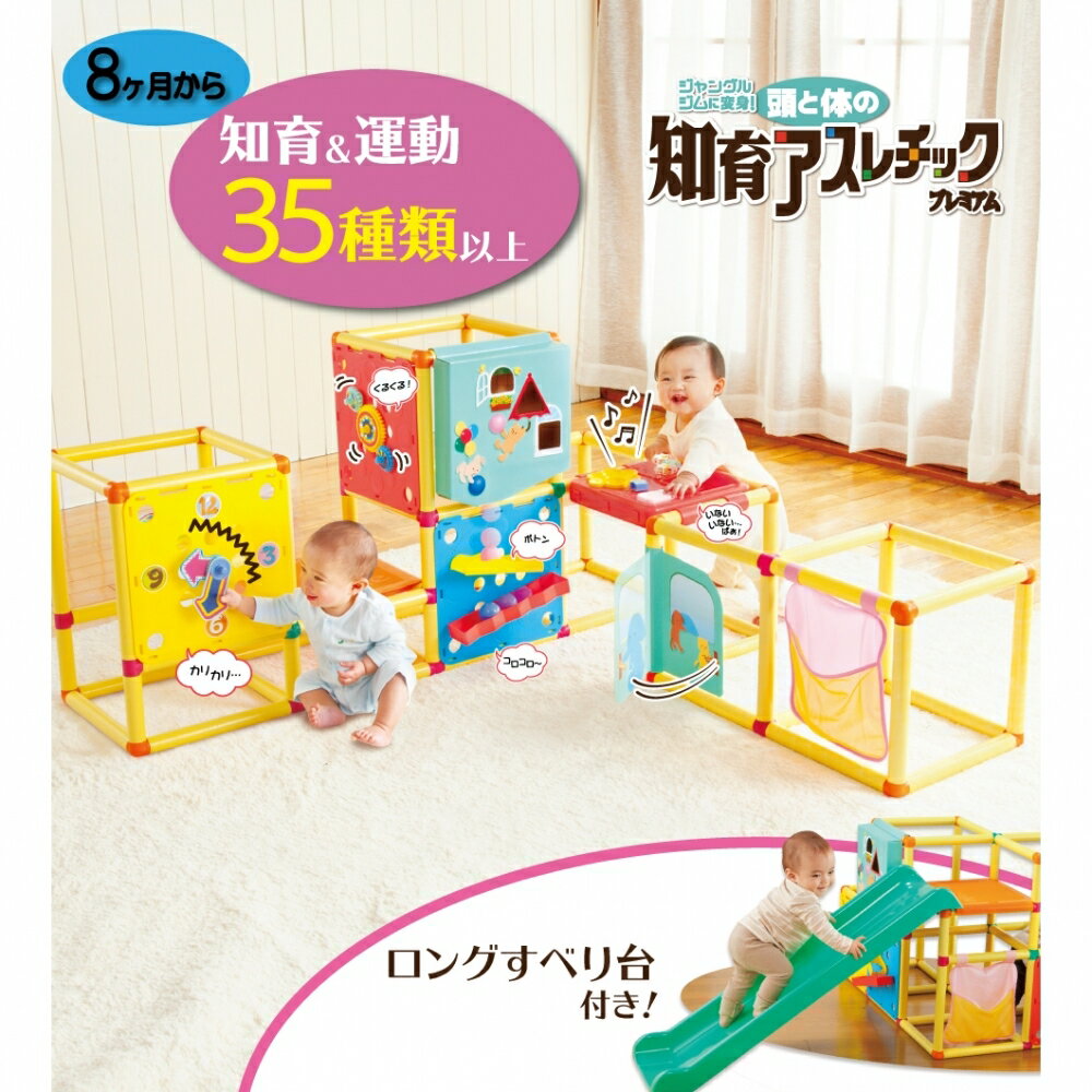 トイザらス限定頭と体の知育アスレチックプレミアム【送料無料】