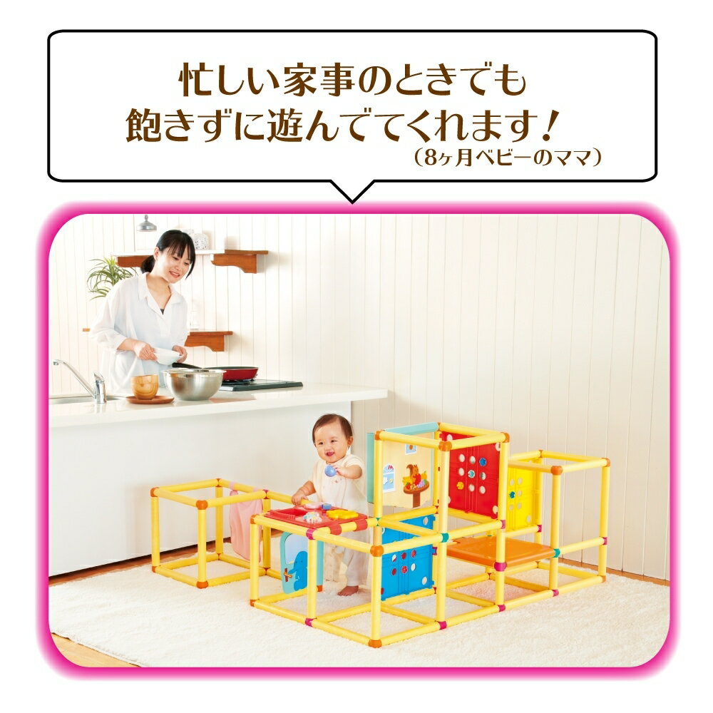 トイザらス限定頭と体の知育アスレチックプレミアム