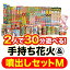 2人で30分遊べる 手持ち花火＆噴出しセット【オンライン限定】家庭用花火セット 花火詰め合わせ トイザらス限定