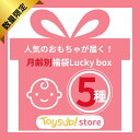 10%OFFクーポン【福袋】Lucky box お楽しみ5種 数量限定 知育玩具 人気 おもちゃ おすすめ 男の子 女の子 0歳 1歳 プレゼント 福袋 中古