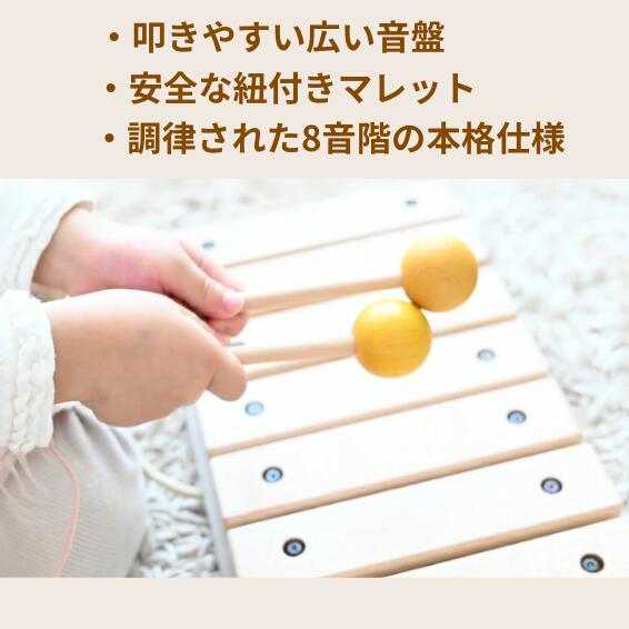 トイサブ!の小さな太陽シリーズ もっきん 木琴 木のおもちゃ 日本製 楽器 知育玩具 シロフォン プレゼント 人気 おすすめ 赤ちゃん｜アングル2