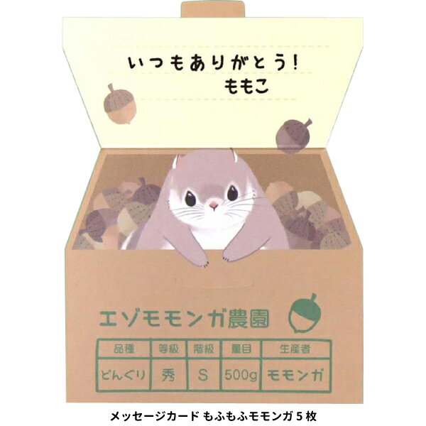 【文房具】【メール便可】Kyowa メッセージカード もふもふモモンガ 5枚 日本製