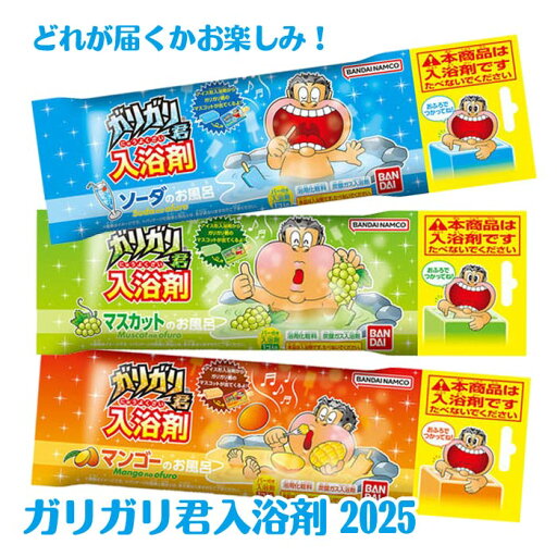 【ガリガリ君】【メール便可】バンダイ ガリガリ君入浴剤 2025 【どれが届くかお楽しみ♪】 【ガリガリ君】【メール便可】バンダイ ガリガリ君入浴剤 2025 【どれが届くかお楽しみ♪】