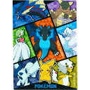 【ポケモン】【メール便可】ショウワノート メガシンカシリーズ 下敷き 日本製