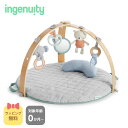 ingenuity インジェニュイティ コージースポット リバーシブルジム【0か月 プレゼント おもちゃ 女の子 男の子 プレイジム メリー アニマル ぬいぐる...