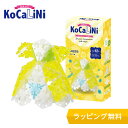 KoCaLiNi(コカリニ) ドレス【知育ブロック 知育玩具 ブロック 12歳 13歳 小学生 人気 パズル クリスマス プレゼント 】