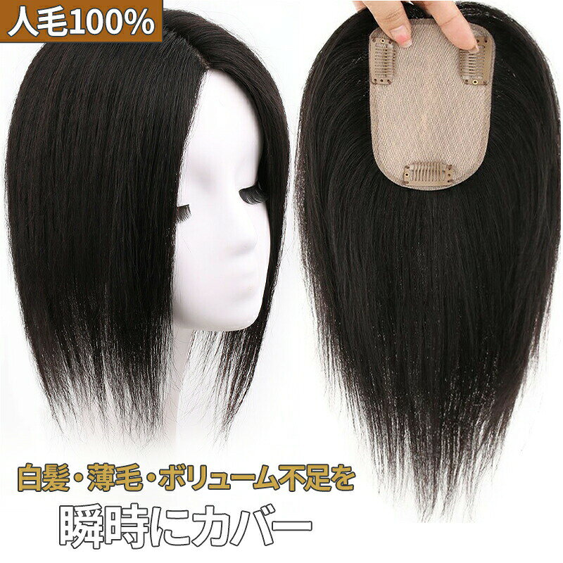 ヘアピース 人毛 部分ウィッグ カバー リアルつむじ 前髪ウィッグ 頭頂部 つむじ 分け目 総手植え 女性 自然 白髪隠し 薄毛隠し ボリュームアップ 増毛 付け毛 25cm 30cm 簡単ワンタッチ着脱 パーマ対応 耐熱 レディース モカブラウン ナチ