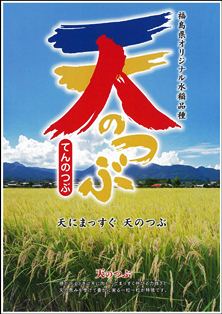 福島県産「天のつぶ」10kg【がんばろう！日本】【あす楽対応_関東】【あす楽_土曜営...