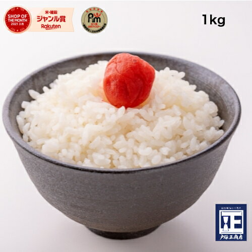 ޥƤTVࡪ1000g 1kg1ޡ̵ ޥƥޥ֤Ωơסص٤虜 ̣󥭥A ڤĤ...