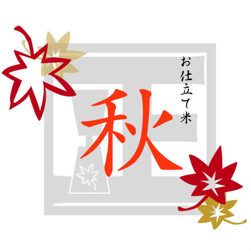 マイスター精米がTV取材!全国送料無料 日本米穀連合会の試験によりお米に関する知識、技、経験を有した人に与えられる最高名誉全国に374人五つ星お米マイスター「お...
