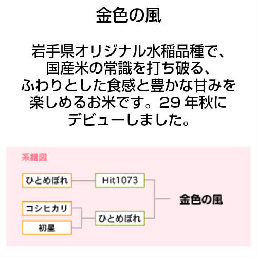 マイスター精米がTV取材！新米入荷次第10月発送！全国送料無料 岩手産　特別栽培米「金色の風」2kg【3年産】【五ツ星お米マイスター】送料無料【新生活】