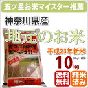 ≪北海道・九州・沖縄・離島以外送料無料≫該当地域への配送は500円ご負担をお願いします。神奈川県大磯・平塚産「地元のお米」10kg【北海道・沖縄・九州・一部離島は送料別途500円発生】【23年産】【あす楽対応_関東】【あす楽_土曜営業】【白米】【10kg】【一部送料無料】【2sp_120314_b】