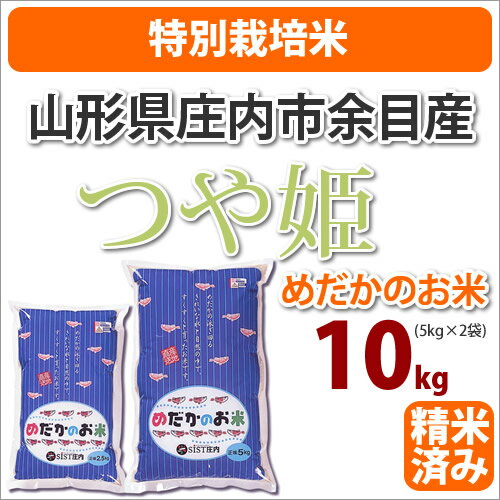 ≪特別栽培米≫山形県庄内町産めだかのお米「つや姫」生産者「米シスト庄内8人衆」10kg【北海道・沖縄・九州・一部離島は送料別途500円発生】【つや姫】【一部送料無料】【楽ギフ_のし】【30年産】