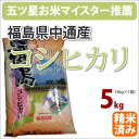 全国送料無料！福島県中通産「コシヒカリ こしひかり」5kg【一部送料無料」】【五つ星お米マイスター】