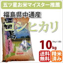 福島県中通産「コシヒカリ こしひかり」10kg【北海道・沖縄・九州・一部離島は送料別途500円発生】【一部送料無料】【楽ギフ_のし】【RCP】【五つ星お米マイスター】【新生活】