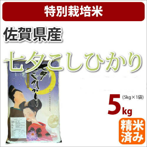 30年佐賀県産特別栽培米 新米 早場米七夕コシヒカリ こしひかり 5kg【新米】【3...