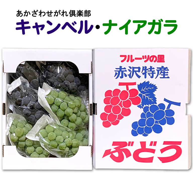 キャンベル・ナイアガラ詰合「あかざわせがれ倶楽部」ぶどう 赤沢 岩手紫波町のサムネイル