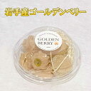 ゴールデンベリー 25g(4~5粒)8パック 食用ほうずき ほうずき 黄色ほうずき ゴールデン たべれるほうずき ホウズキ 黄色 ほおずき ホオズキ 食用ほおずき