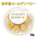 ゴールデンベリー 50g(5~9粒)8パック 食用ほうずき ほうずき 黄色ほうずき ゴールデン たべれるほうずき ホウズキ 黄色 ほおずき ホオズキ 食用ほおずき
