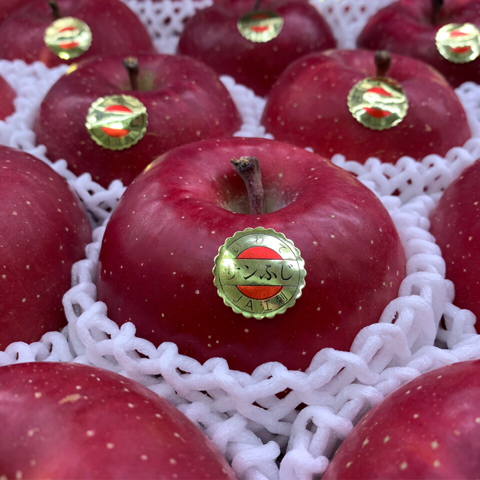 江刺サンフジ 5k 糖度15up 江刺りんご ふじ さんふじ 蜜入り 蜜入りんご サンふじのサムネイル