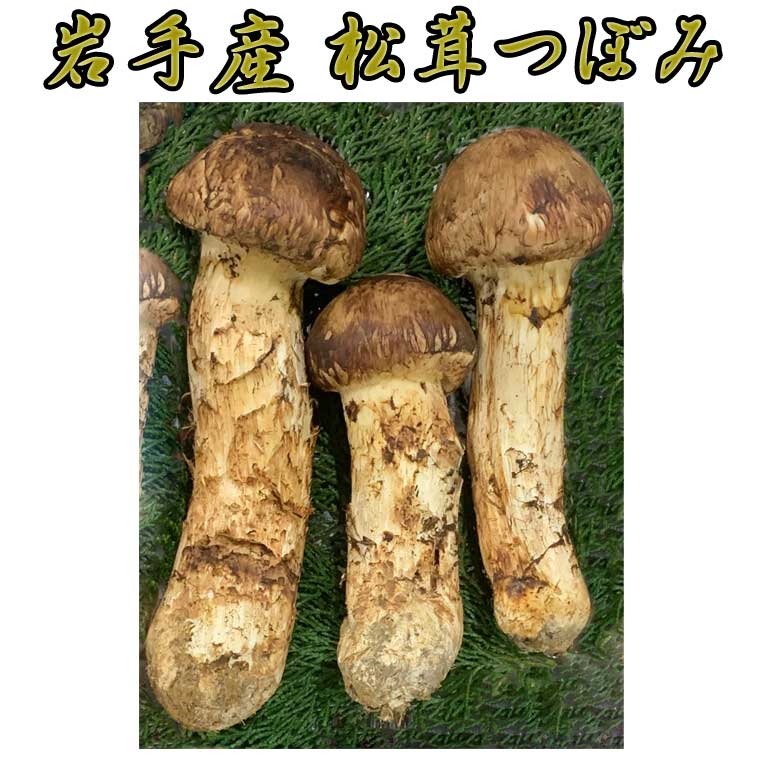 껺Ĥܤ