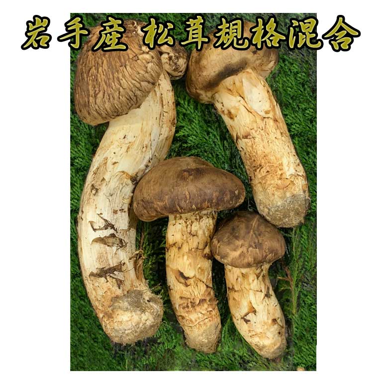 껺ʺ