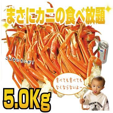 ☆訳あり特価☆メガ盛り5kg♪業務用本ずわい蟹の脚セクションかに食べ放題セット（ボイル済み）【送料無料】【楽ギフ_のし宛書】【楽ギフ_メッセ入力】【お歳暮ギフト】(魚介類/ズワイガニ/ボイル/ギフト/北海道/グルメセット/内祝い/お返し/手土産/通販/楽天市場)