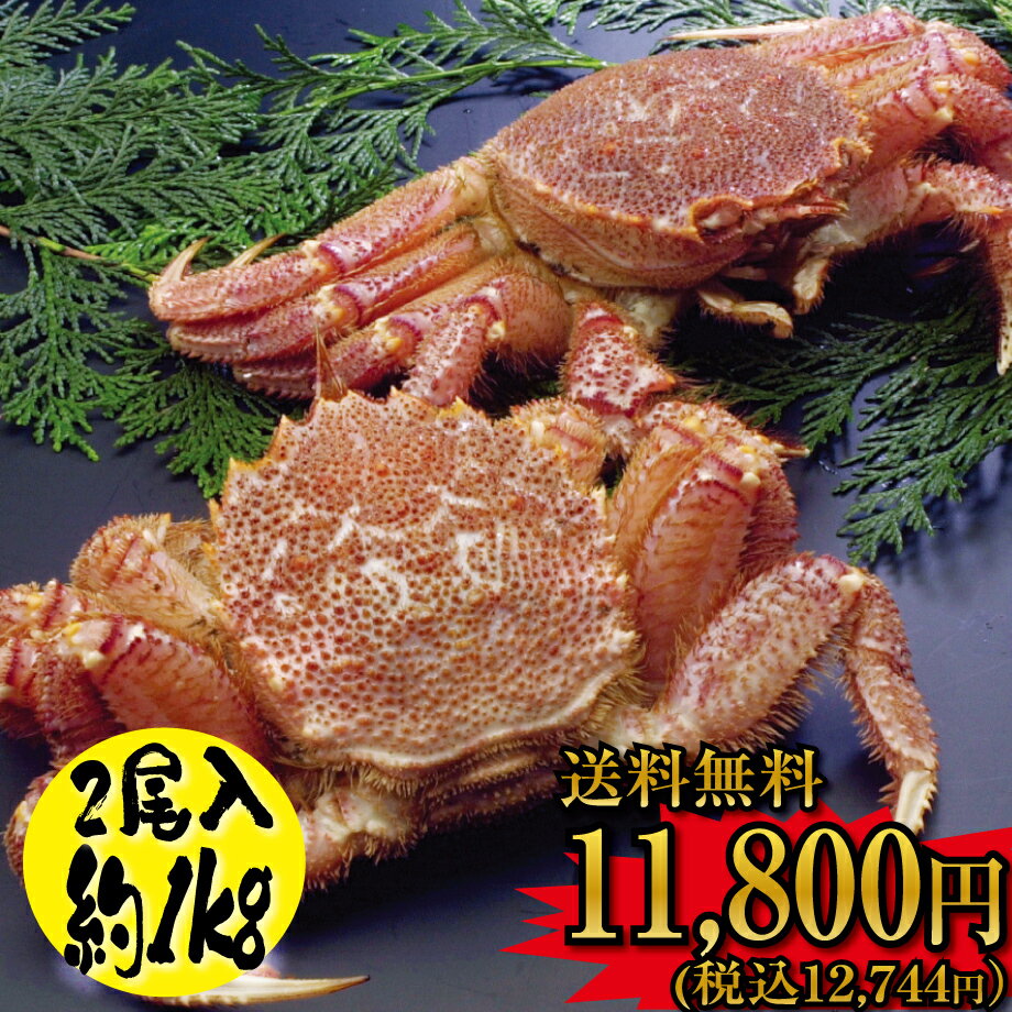 【 送料無料 】★サイズ指定不可のため 訳あり 特価★ かに の街からお届け♪ 極上 浜茹で毛蟹 1kg セット !!【 毛ガニ カニ 】【2尾セット】【ボイル...