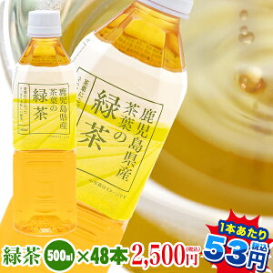 【お茶 ペットボトル 500ml】緑茶500ml×48本【送料無料!!】鹿児島産茶葉100％使用　トライアルカンパニープライベートブランド　お茶｜ペットボトル |