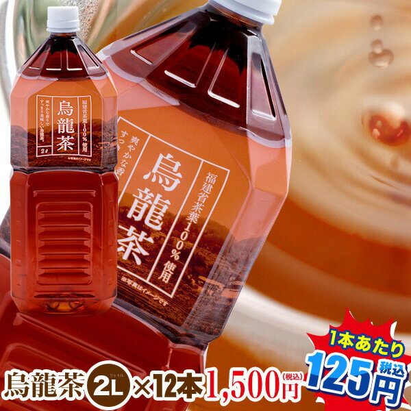 トライアル　烏龍茶2L