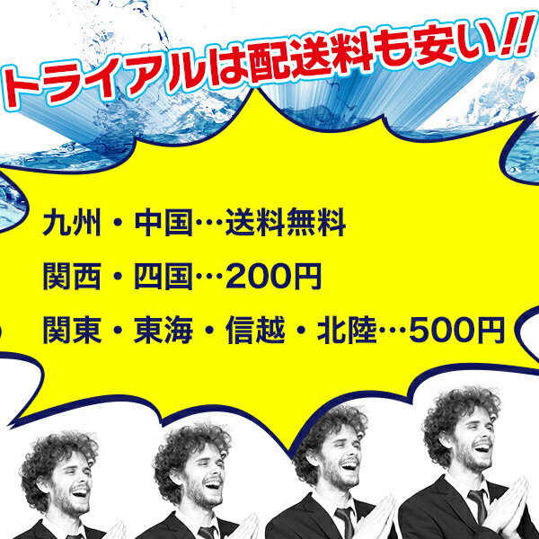 トライアル　烏龍茶2L×12本【1本当り100円|九州・中国エリアは送料無料】福建省産茶葉100％使用　トライアルカンパニープライベートブランド　お茶｜ペットボトル |ウーロン茶