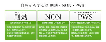 薬用 PWSハンドクリーム　87gハンドクリーム　リスブラン　無香料　無着色　安心安全化粧水　化粧品　美肌　乾燥　潤い　手　クリーム薬用